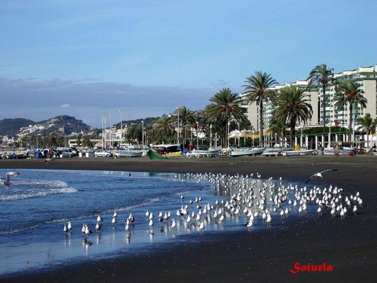 Apartamento El Dorado Cerca Del Mar Malaga Zewnętrze zdjęcie